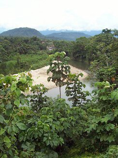 Der Rio Tena in Ecuador